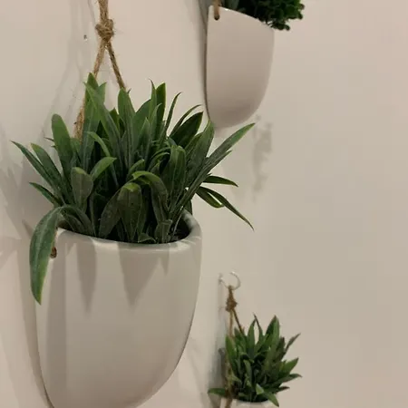 Amazing Formosa B- With Ac * Oporto