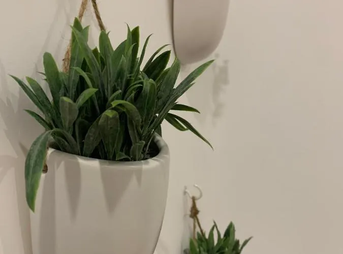 Amazing Formosa B- With Ac * Oporto